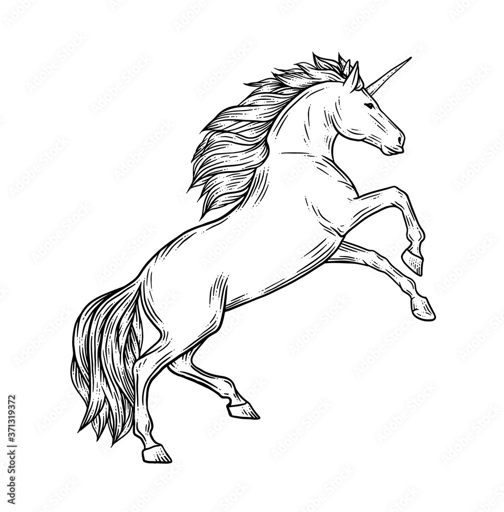 Magic unicorn vector illustration in vintage engraving style. Stylish ...