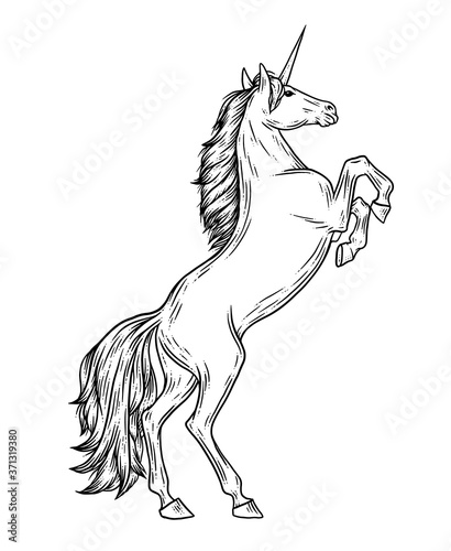 Magic unicorn vector illustration in vintage engraving style. Stylish symbol, artwork, tattoo. Horse vector illustration in hand drawn retro style.
