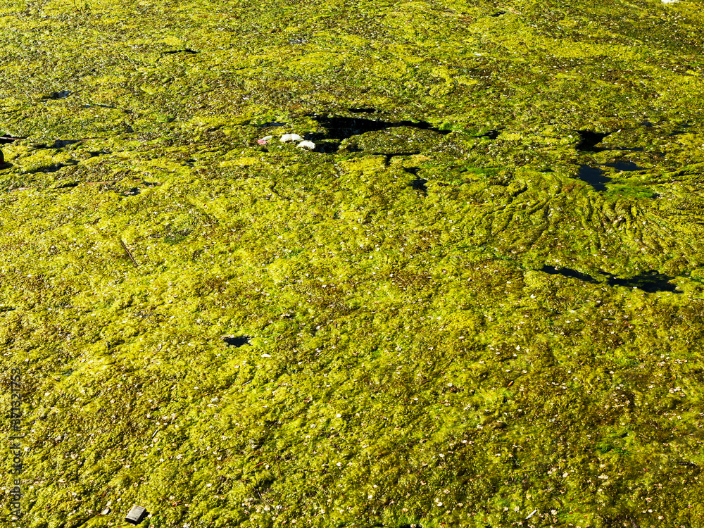 Sewage drains into the river, the sea, the lake. Environmental pollution. Wastewater, ecological catastrophe Sewage drains into the river, the sea, the lake. Environmental pollution. Wastewater, ecological catastrophe