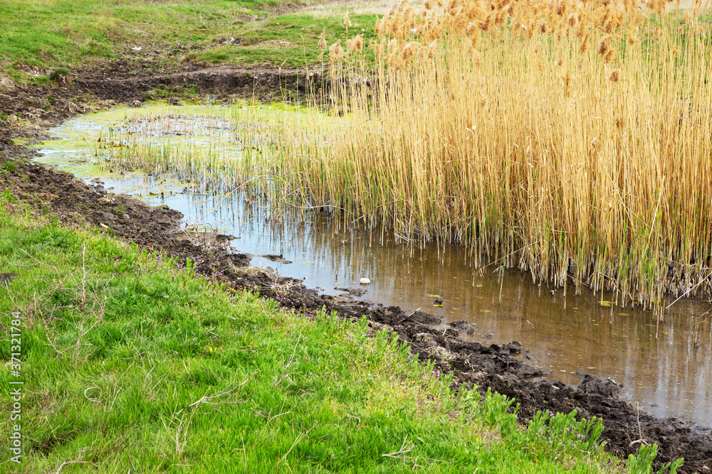 Sewage drains into the river, the sea, the lake. Environmental pollution. Wastewater, ecological catastrophe Sewage drains into the river, the sea, the lake. Environmental pollution. Wastewater, ecological catastrophe