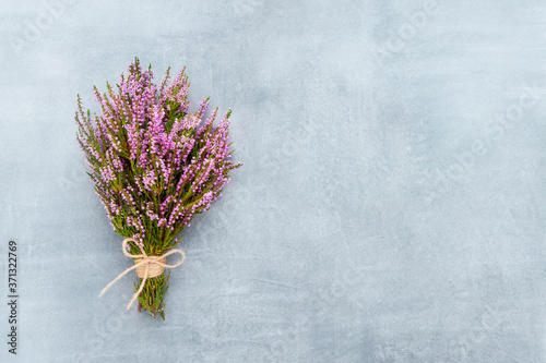 Fototapeta Naklejka Na Ścianę i Meble -  Bouquet of Pink Common Heather flowers on blue background. Copy space for text, top view. Flat lay