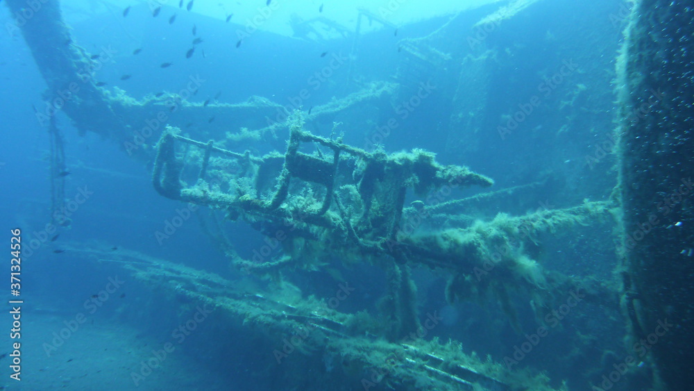 custom made wallpaper toronto digitalUnter Wasser