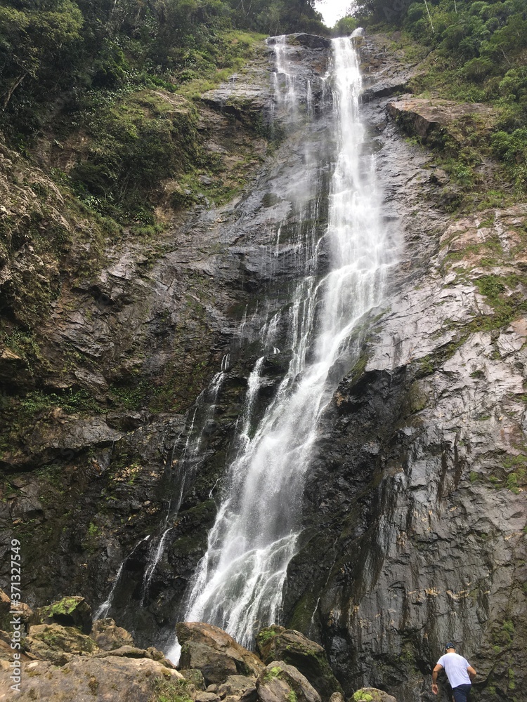 Fototapeta premium waterfall in the forest