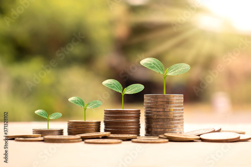 A tree growing on a pile of coins and coin graphs money ideas and financial growth.