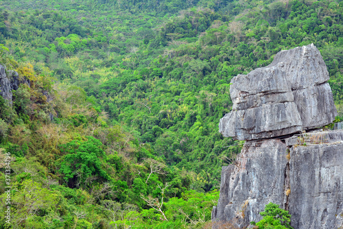 mountain and rocks plus trees growing photo