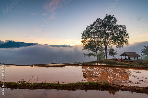 Terraced rice field landscape with road and big tree in Choan Then, Y Ty, Bat Xat photo