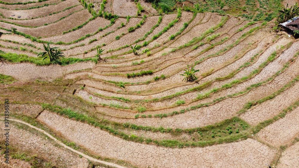 Aerial view of dry rice terraces during the dry season in Bantul Yogyakarta Aerial view of dry rice terraces during the dry season in Bantul Yogyakarta