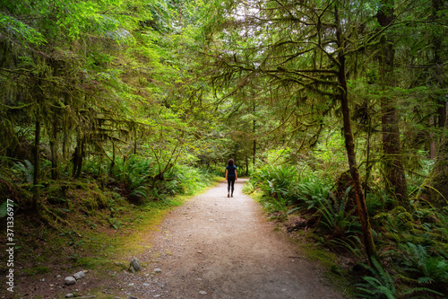 Path in the Green Rain Forest during a summer day. Taken in Skookumchuck Narrows Provincial Park, Sunshine Coast, British Columbia, Canada.