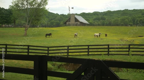 Horses on a beautiful fenced country farm with a cabin during summer, cinematic, slow motion, wide dolly sliding shot photo