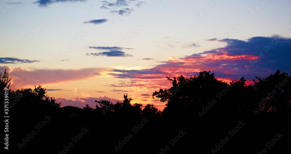 sunset over trees 