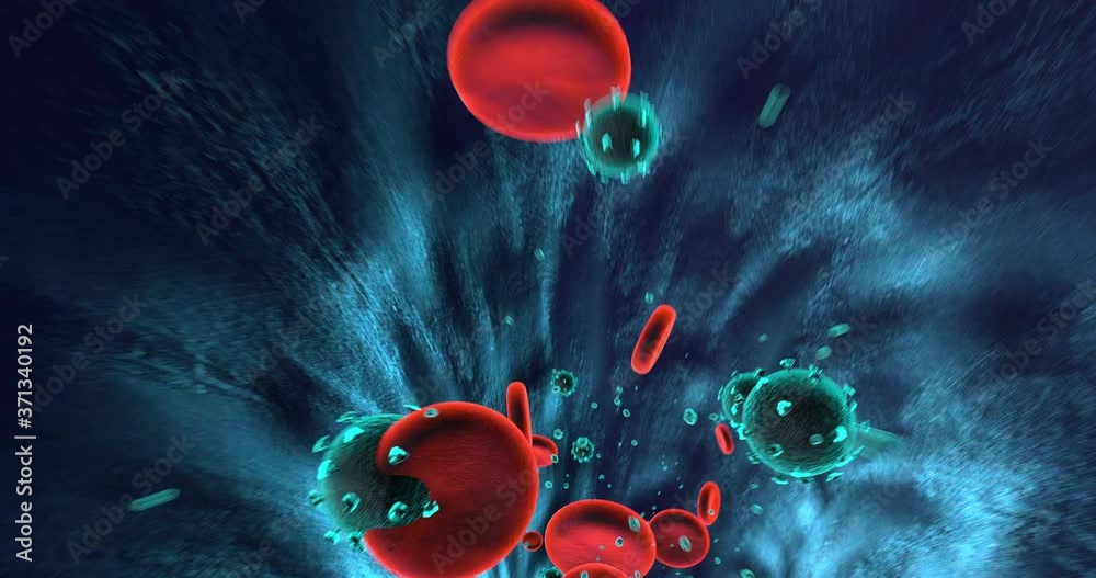 Virus Infected Human Body. Viruses And blood Cells Flowing. Perfect Loop. Science And Health Related High Quality 3D Animation.