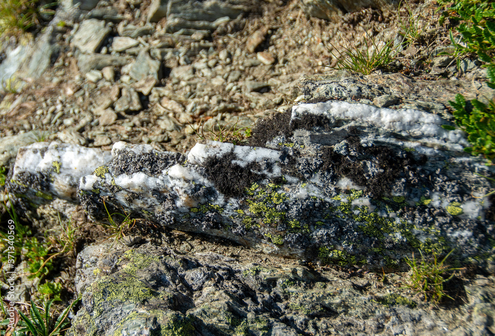 rock with quartz vein rock with quartz vein