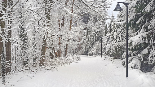Beautiful magical winter time in West Vancouver, BC - Capilano Pacific trail. The view on the snowy pathway around the river, trees covered with snow and the street lamp.