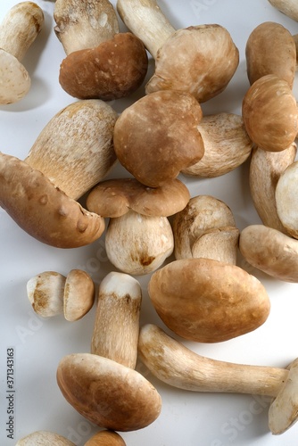 Cogumelos Funghi Porcini