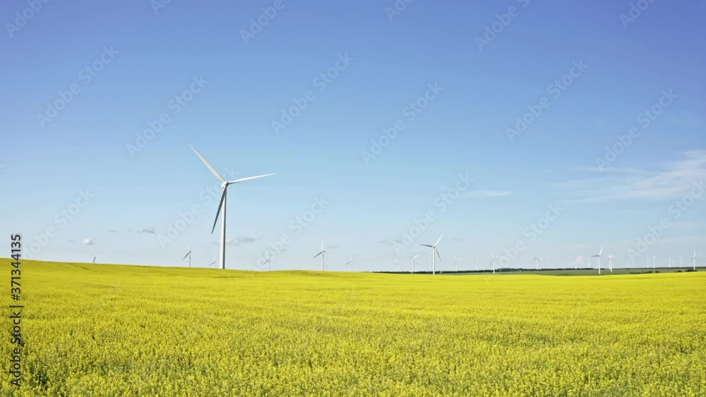 Summer Blue Sky Over Wind Towers In A Canola Field In Saskatchewan, Canada - Tilt-Up Shot Summer Blue Sky Over Wind Towers In A Canola Field In Saskatchewan, Canada - Tilt-Up Shot