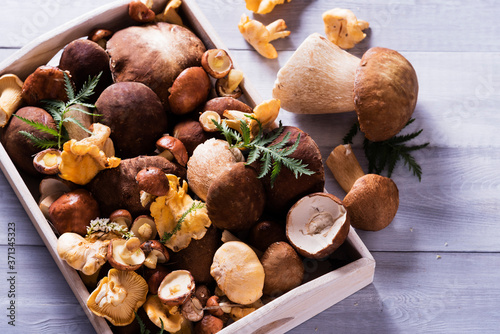 Wooden tray with a variety of raw mushrooms on a light table (porcini mushrooms, chanterelles, boletus)