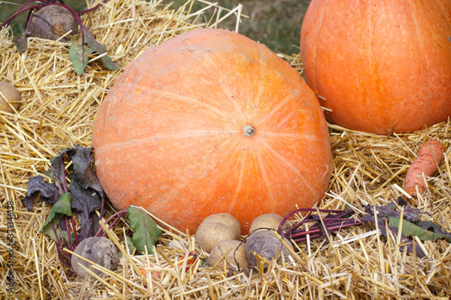Harvesting decorations made of pumpkin, vegetables and hay