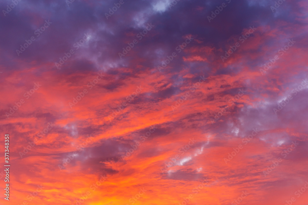 Pink and Purple sunset sky as Background or Wallpaper.