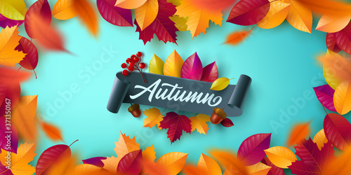 Autumn Poster and banner template with colorful maple,oak autumn leaves.Greetings and presents for Autumn season in flat lay styling.Promotion template for Autumn or fall concept