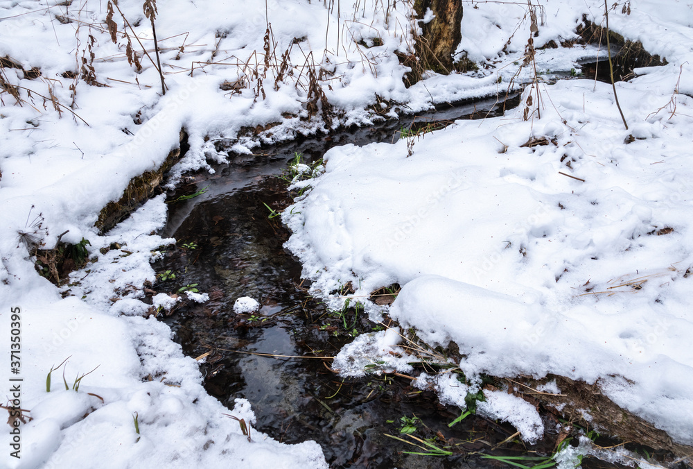 Forest stream at the pure white snow Forest stream at the pure white snow
