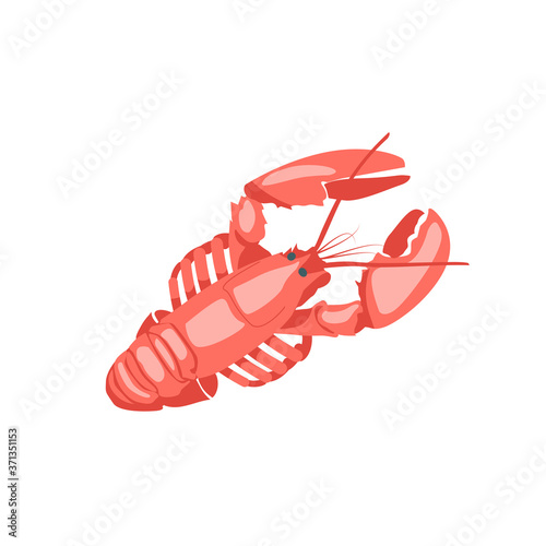 Lobster fresh delicacy seafood. Crustacean marine creature. Seafood menu, fish market design element. Organic natural healthy nutritious vegetarian food cartoon vector illustration isolated on white.