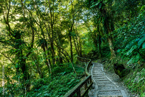 The stone pathway through in the green forest in Taiwan.