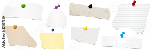 collection scrap of paper