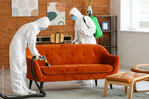 Canvas-taulu Workers in biohazard costume removing dirt from sofa in house