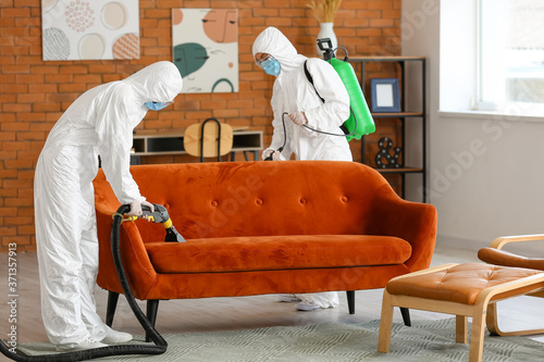 Workers in biohazard costume removing dirt from sofa in house