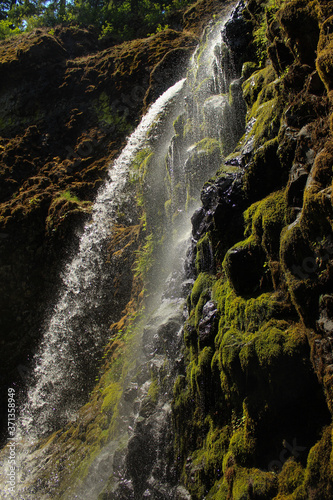 Fall creek falls Oregon 