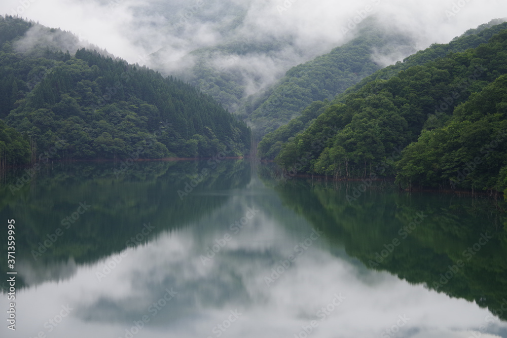 森の中の湖 森の中の湖