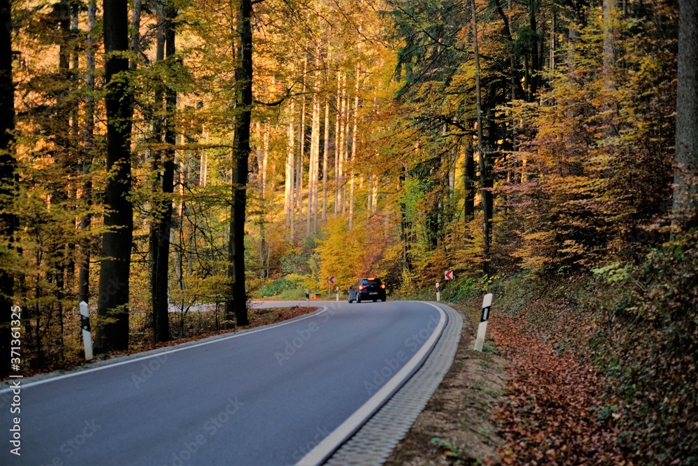 Obraz premium Autumn Road view. Autumn beautiful nature landscape. Autumn travel and trips. Fall wallpaper