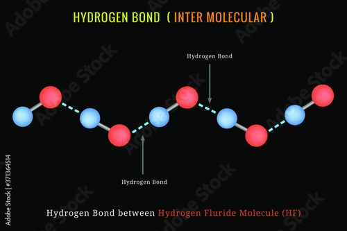 Hydrogen Bond, Inter molecular Hydrogen Bond between Hydrogen Fluride Molecule