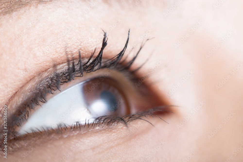 Obraz premium 女性の目元