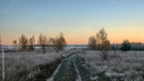 Country road in the fields of frozen grass