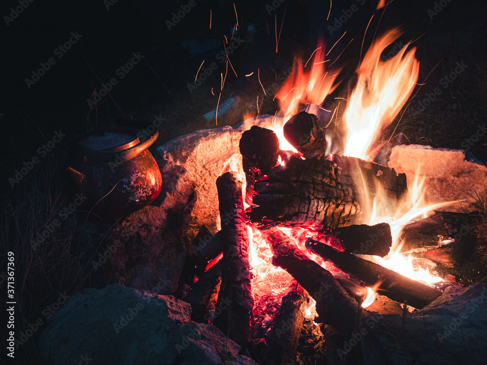 Fototapeta premium fire in the fireplace