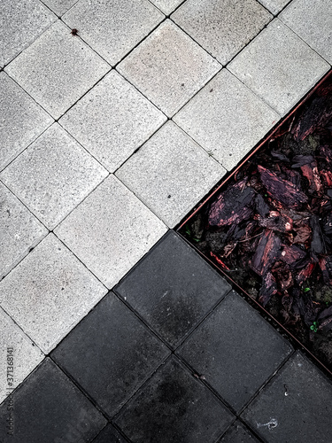 autumn leaves in the park