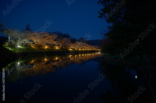 SAKURA, Cherry Blossoms at night time in Matsumoto castle, Nagano, Japan.