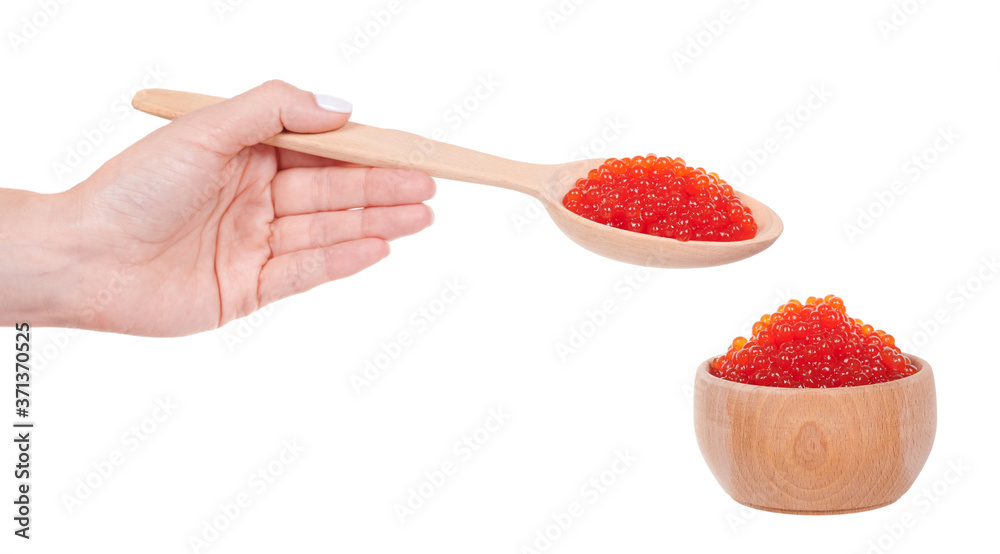 Hand with luxury red caviar on wooden spoon, expensive healthy seafood, isolated on white background.