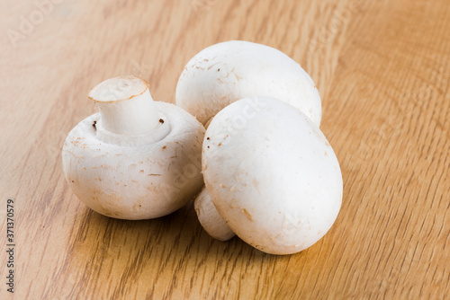 White mushroom isolated on wooden background