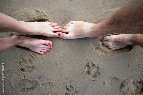 On the sand there are two pairs of legs of a man and a woman, and next to them are the tracks of a dog. Pet care and love for animals concept.