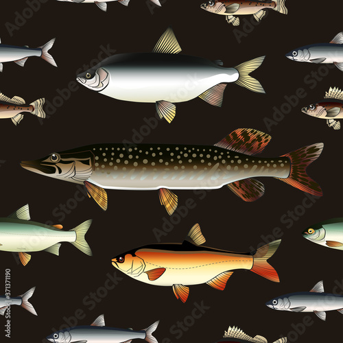 Seamless pattern of different nordic realistic fish on a black background.