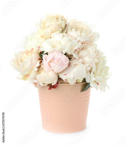 Beautiful peonies in bucket isolated on white