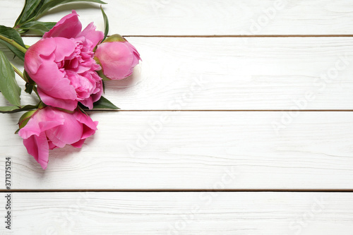 Beautiful pink peonies on white wooden background, flat lay. Space for text © New Africa