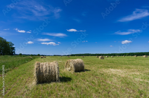 Summer field with hay rolls under a blue sky with clouds