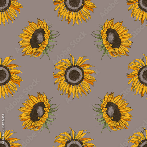 Hand drawn seamless pattern with sunflowers