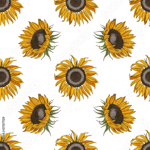 Hand drawn seamless pattern with sunflowers