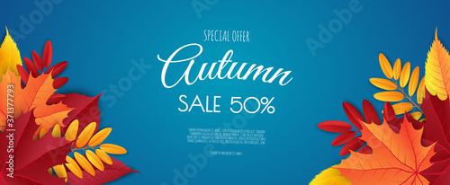 Autumn sale banner  fall season discount poster with falling leaves for shopping promotions prints flyers invitations  special offer card.