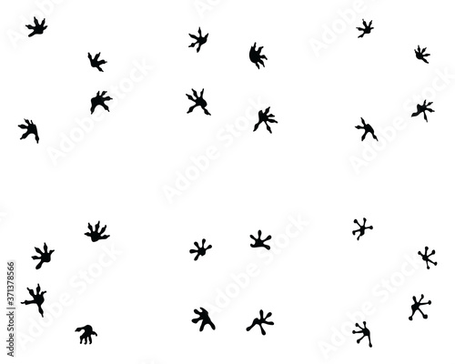 Black footprints of lizard on a white background