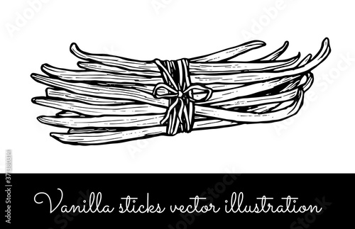Vintage vanilla flower and vanilla sticks bunches collection
